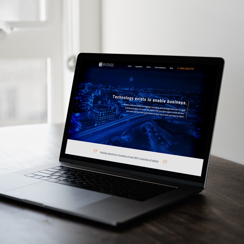 Entasis Technologies Website Design